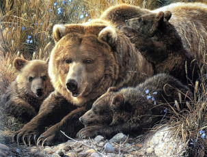 обоя рисованное, животные,  медведи, медведица, медвежата, трава