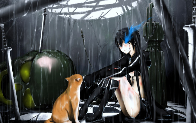 Обои картинки фото аниме, black, rock, shooter, кошка, дождь, девушка