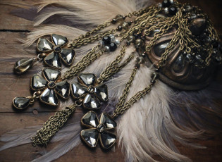Картинка разное украшения +аксессуары +веера камни ожерелье украшение перья