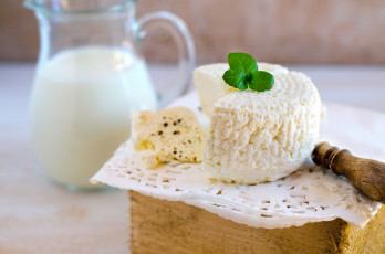 Картинка еда сырные+изделия фон зелень сыр
