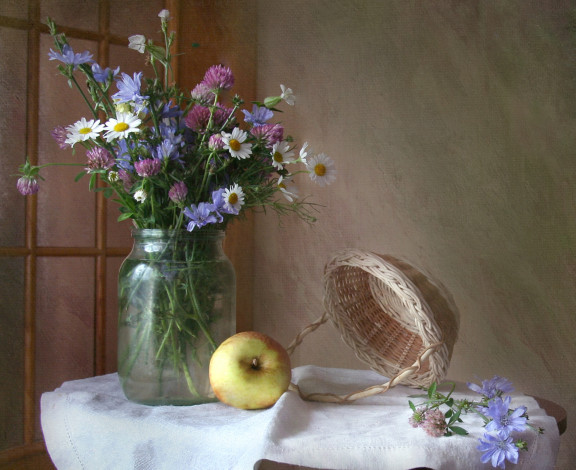 Обои картинки фото цветы, луговые , полевые,  цветы, яблоко, клевер, ромашки