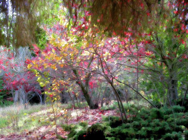 Обои картинки фото разное, компьютерный дизайн, лес, деревья, осень