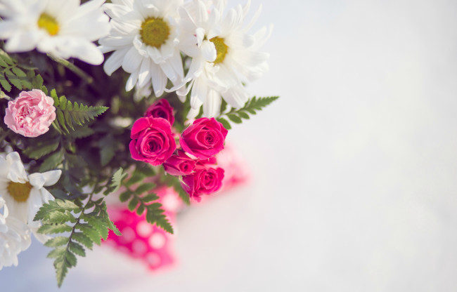 Обои картинки фото цветы, разные вместе, розы, ромашки