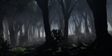 Картинка 3д+графика природа+ nature туман лес