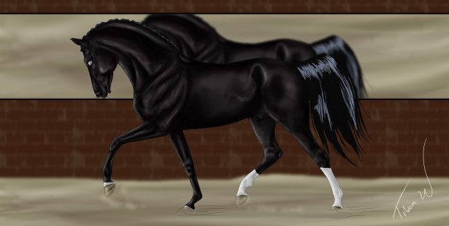 Обои картинки фото рисованное, животные,  лошади, взгляд, лошадь