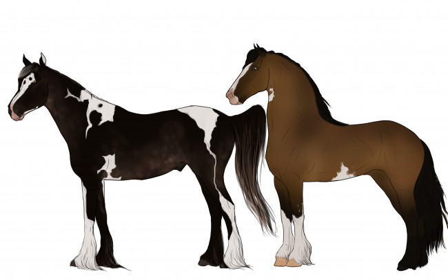 Обои картинки фото рисованное, животные,  лошади, лошади, взгляд