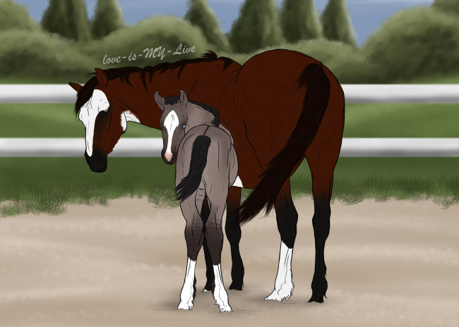 Обои картинки фото рисованное, животные,  лошади, лошадка, взгляд, лошадь