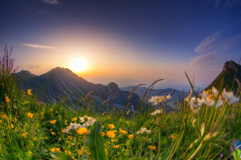 Картинка природа восходы закаты горы луг цветы весна