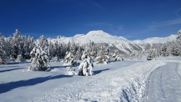 Картинка природа зима горы снег