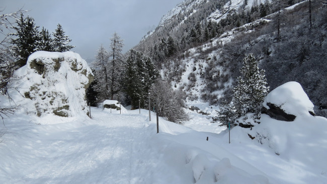 Обои картинки фото природа, горы, лес, снег
