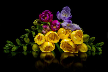 Картинка цветы фрезия разноцветные