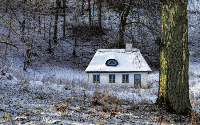 Обои картинки фото города, - здания,  дома, лес, деревья, дом, снег, зима