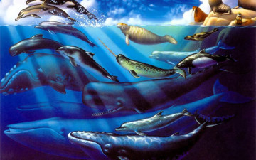 Картинка рисованное животные +морская+фауна киты виды море