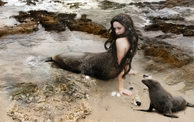 Обои картинки фото -Unsort Креатив, девушки, unsort, креатив, пена, море, русалка, ракушки, чайка, тюлень