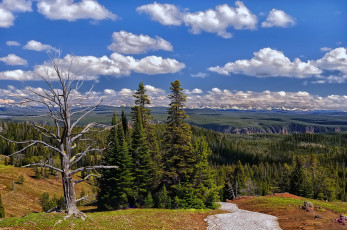 Картинка природа пейзажи облака леса долина горы