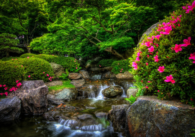 Обои картинки фото природа, парк, лес, река, камни, цветы