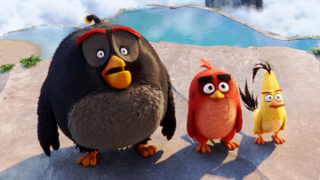 Картинка мультфильмы the+angry+birds+movie bomb red chuck