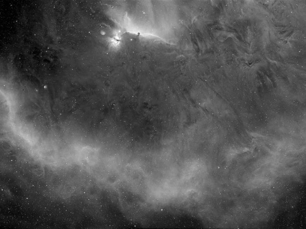 Обои картинки фото петля, барнарда, вокруг, туманности, конская, голова, космос, галактики