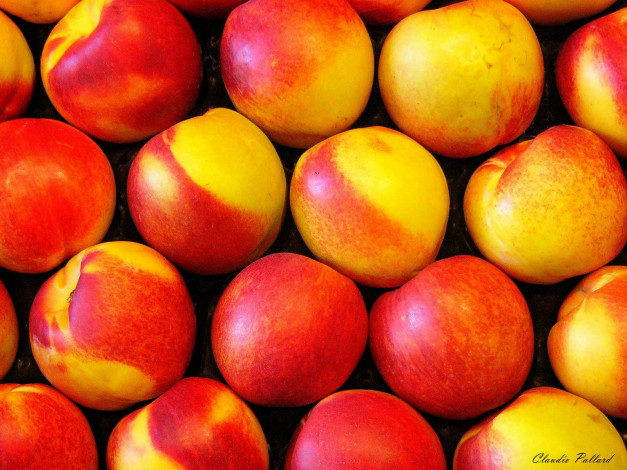 Обои картинки фото еда, персики, сливы, абрикосы