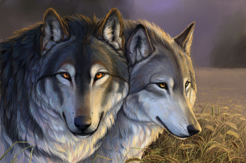 Картинка рисованные животные волки тучи трава поле колосья