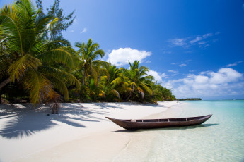 Картинка природа тропики лодка пальмы пляж