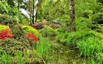 Картинка природа парк деревья ручей трава цветы