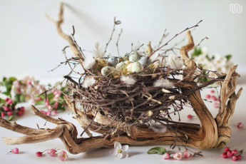 Картинка праздничные пасха гнездо