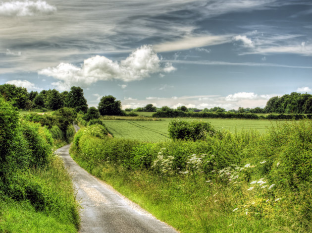 Обои картинки фото природа, дороги, поле, дорожка, трава, облака