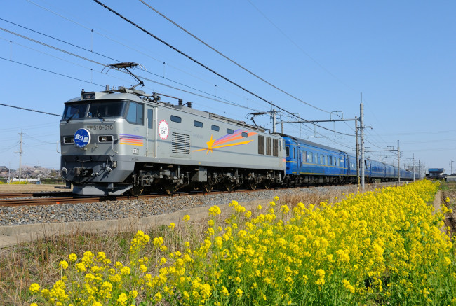 Обои картинки фото техника, поезда, цветы, поезд