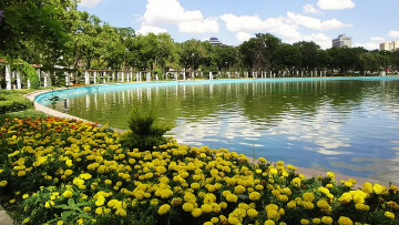 Картинка природа парк озеро клумбы бархатцы