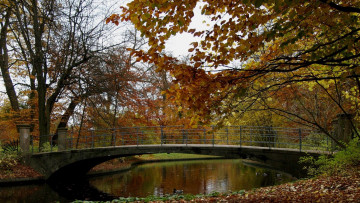 Картинка природа парк водоем мостик осень листопад