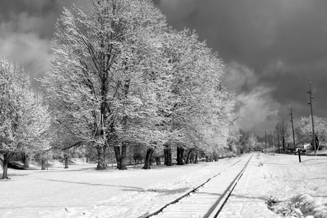 Обои картинки фото природа, зима, снег, иней, деревья