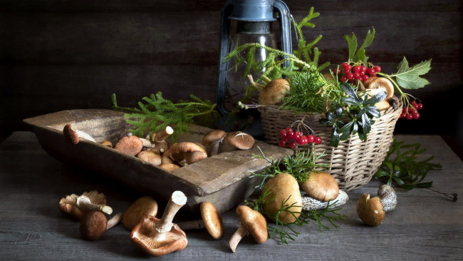 Обои картинки фото еда, грибы,  грибные блюда, зелень, корзинка