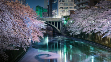Картинка города токио+ япония meguro river
