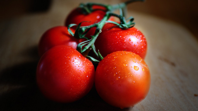 Обои картинки фото еда, помидоры, томаты, капли