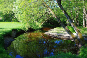 Картинка природа реки озера отражение река трава дерево