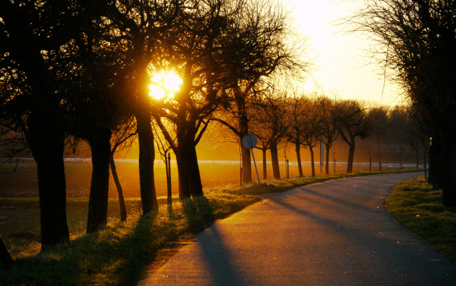 Обои картинки фото природа, дороги, дорога, солнце, деревья, закат, поворот
