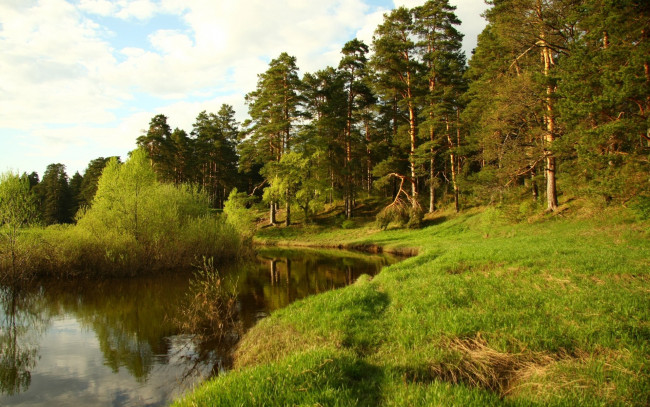 Обои картинки фото природа, реки, озера, лес, река, зелень, берег
