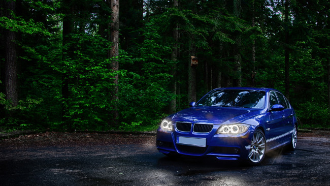 Обои картинки фото автомобили, bmw, синий, лес