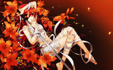 Картинка аниме shakugan+no+shana shakugan no shana арт катана меч wentirtongmo девушка бинты цветы лилии