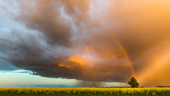 Обои картинки фото природа, радуга, поле, облака