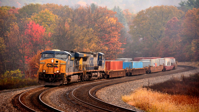 Обои картинки фото техника, поезда, поезд, поворот, роща, осень, железная, дорога, грузовой