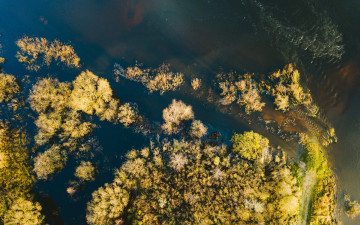 Картинка с+высоты+птичьего+полета природа реки озера вид сверху берег деревья река