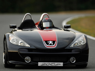 Картинка 2005 peugeot 20cup black track автомобили