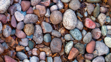 Картинка природа камни минералы листья