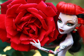 Картинка разное игрушки кукла роза
