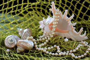 Картинка разное ракушки кораллы декоративные spa камни ожерелье жемчуг