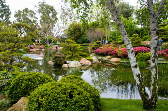 Картинка miller japanese garden природа парк сша калифорния