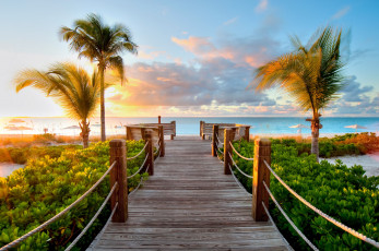 Картинка природа тропики море закат мостик пальмы мангры
