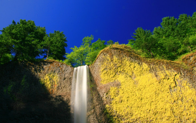 Обои картинки фото природа, водопады, деревья, скала